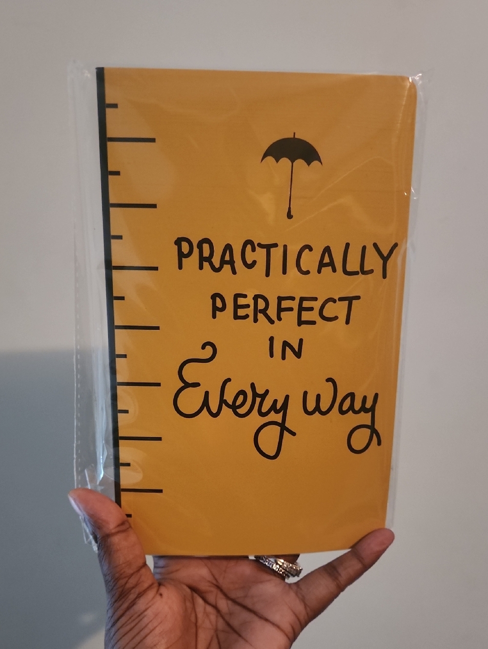 Mary Poppins quote Notebook / Journal Practically Perfect in Every Way BRAND NEW